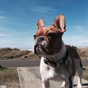 Meet your Posher, Denise